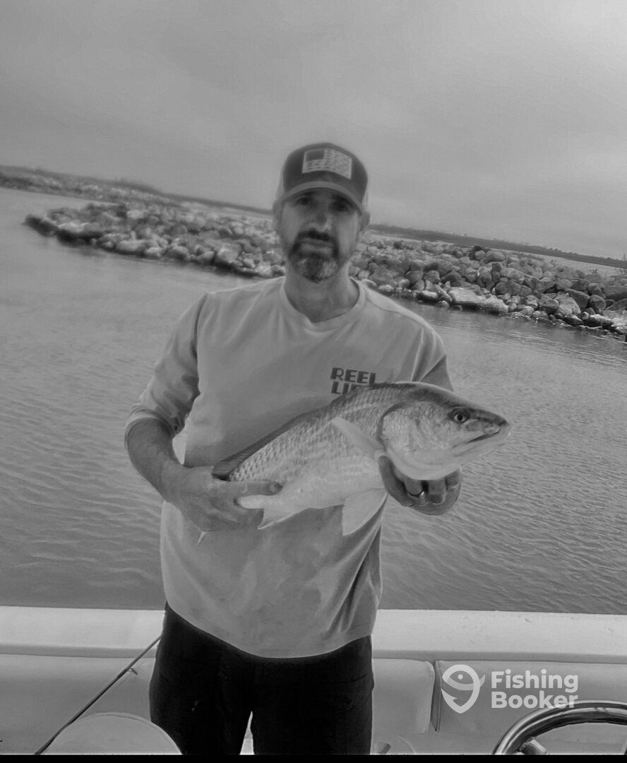 San Leon Report Photo 0
