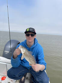 San Leon Report Photo 1