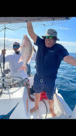 Snapper