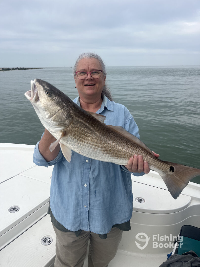 Crystal River Report Photo 0
