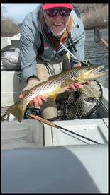 Monster Browns!!