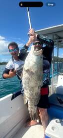 Airlie Beach Report Photo 1