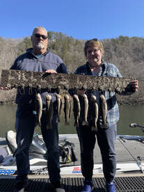 Bites are plentiful! 