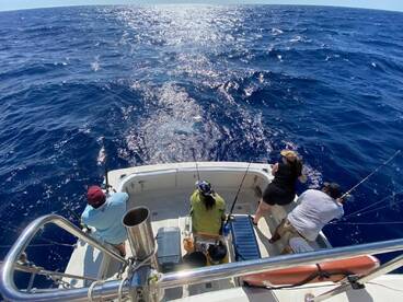 Puerto Aventuras Report Photo 1
