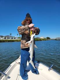 DeBary Report Photo 1