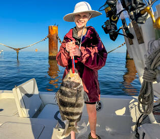 AWESOME morning of Sheepshead fishing 