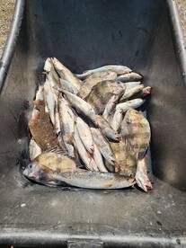 3-11-25 Fishing Report