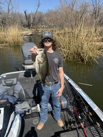 Dallas Report Photo 4