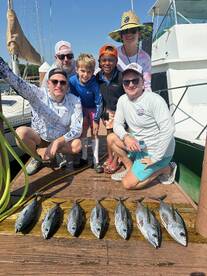 Dania Beach Report Photo 1