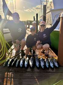 Dania Beach Report Photo 2