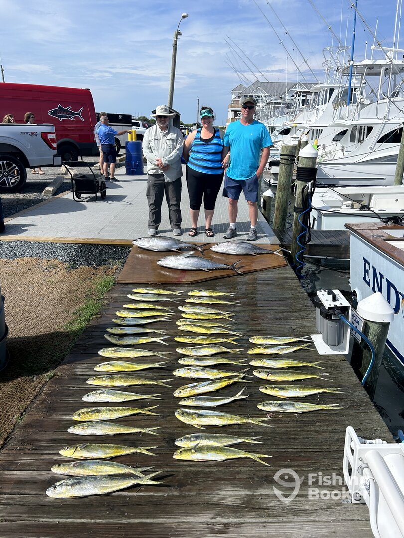 Nags Head Report Photo 0