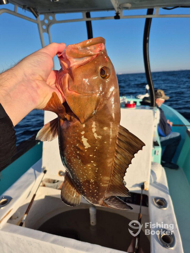 Destin Report Photo 0