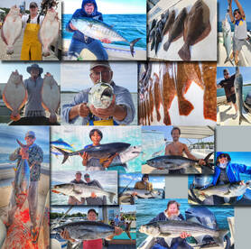 Book now the fish are allmost here