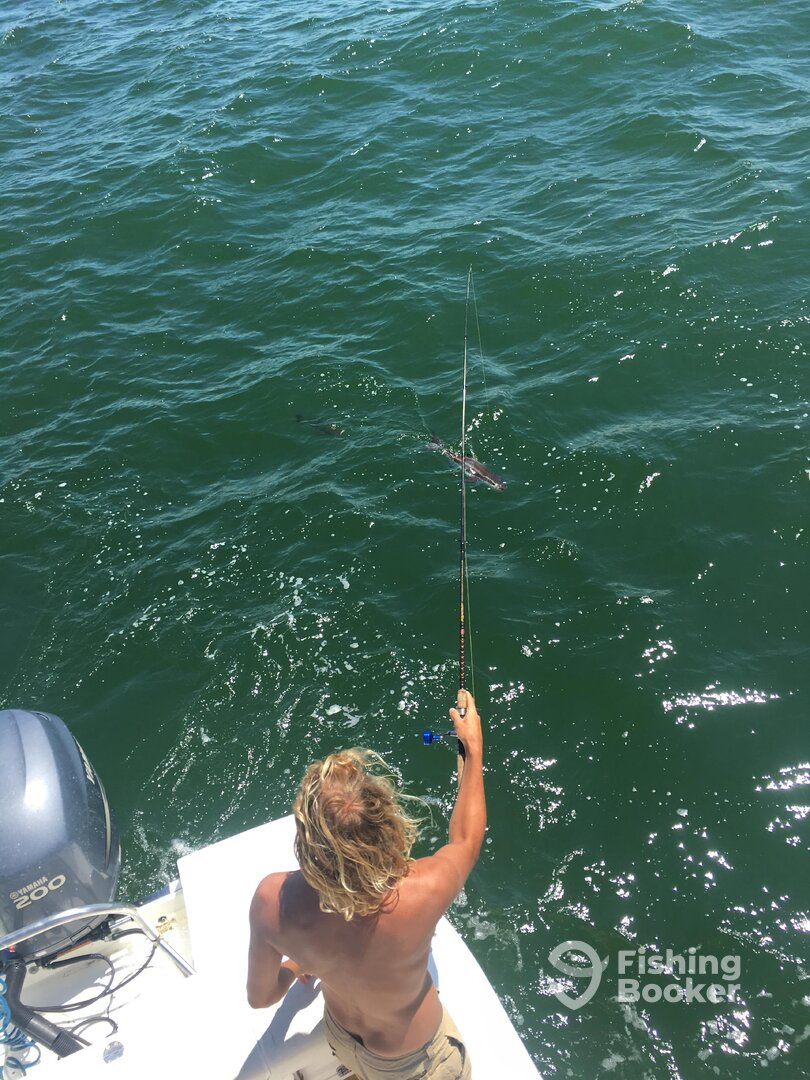 Virginia Beach Report Photo 0