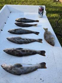 Santa Rosa Beach Report Photo 2