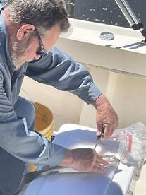 Fort Myers Report Photo 2