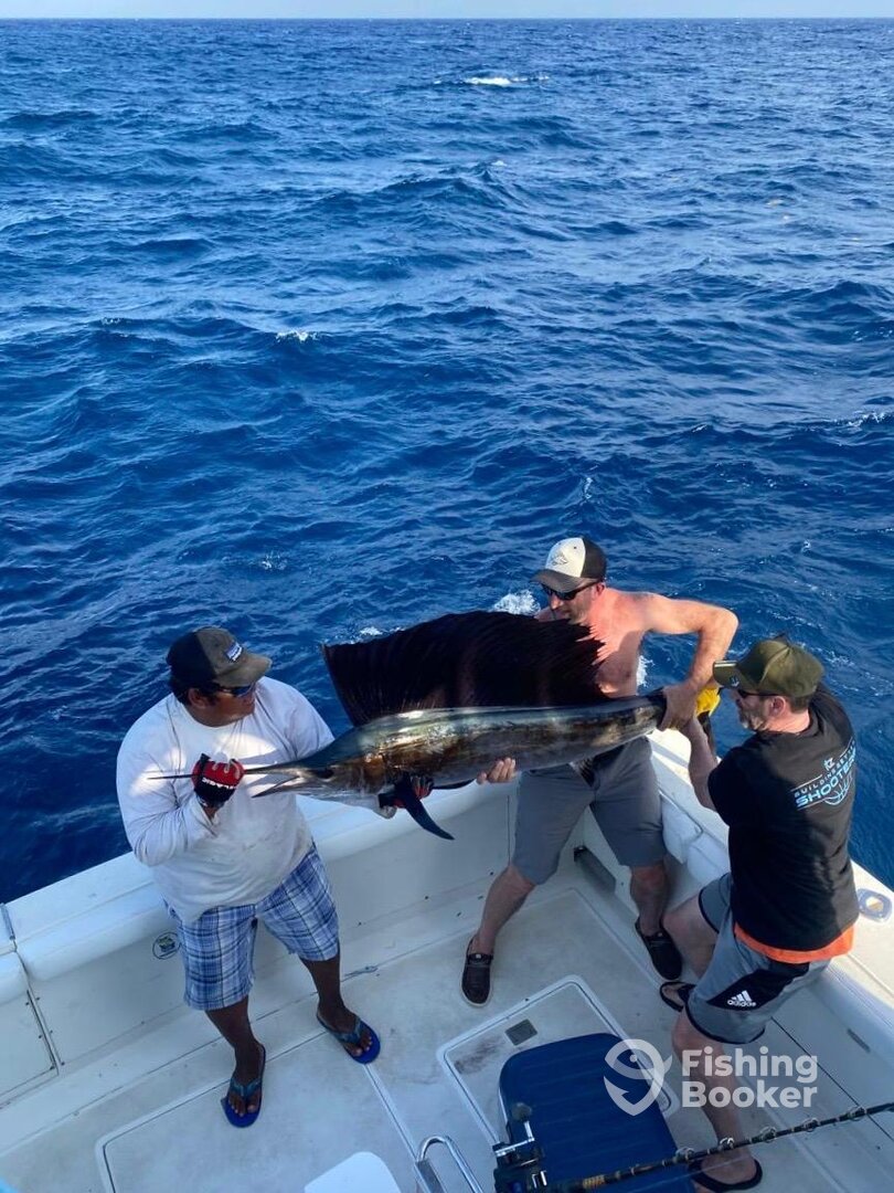 Puerto Aventuras Report Photo 0