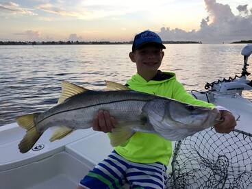Large Jack Crevalle & Snook