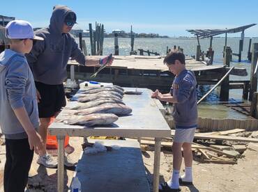 Galveston Report Photo 1