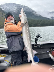 Got sturgeon 