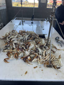 A great spring break 