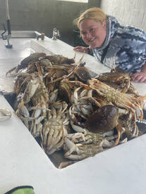 Garibaldi Report Photo 2