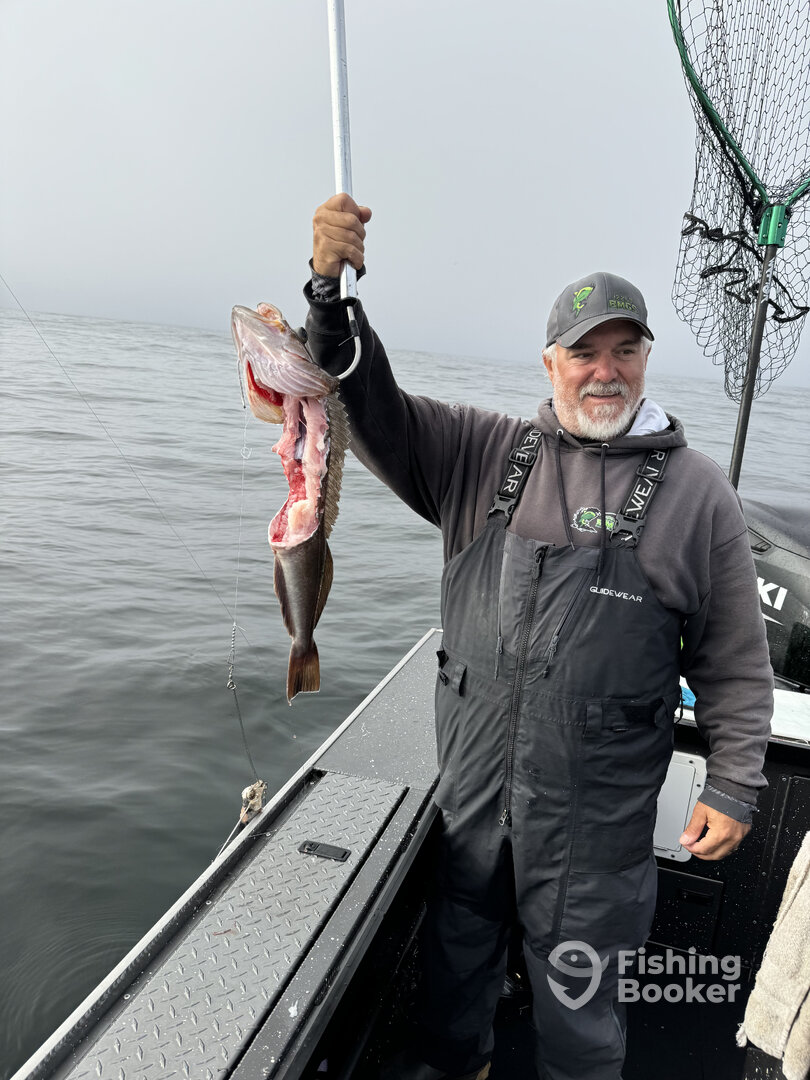 Garibaldi Report Photo 0