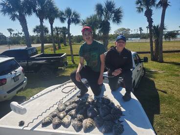Sheephead bite on fire