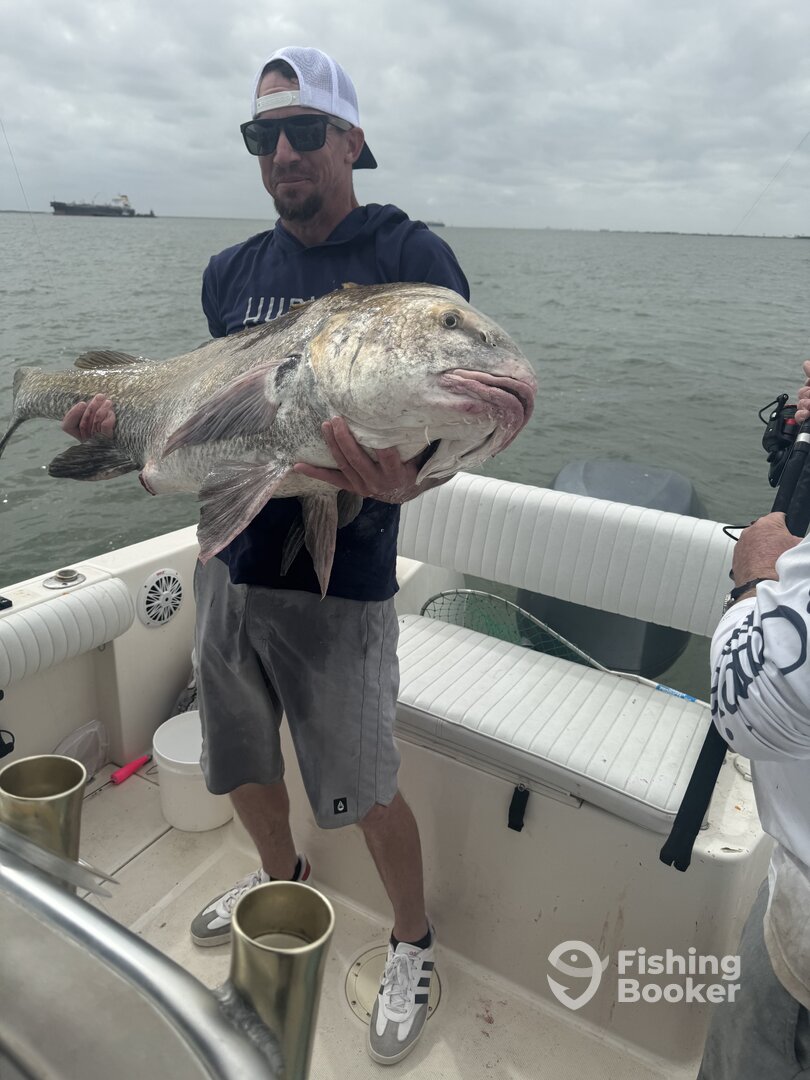 Galveston Report Photo 0