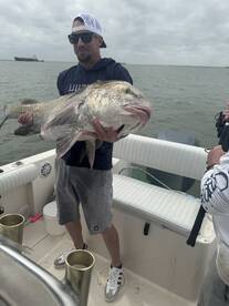 The Bite on Mar 12th