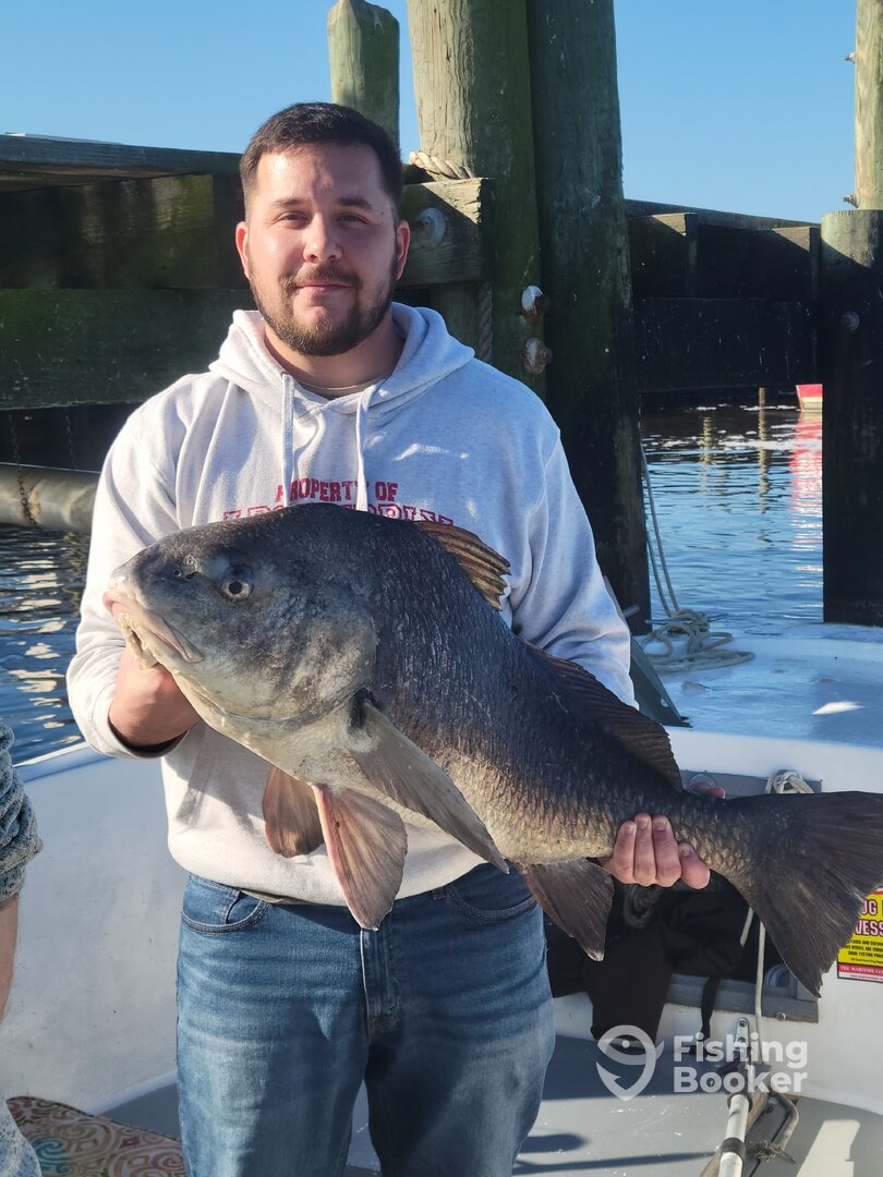 Biloxi Report Photo 0