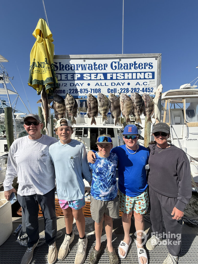 Biloxi Report Photo 0