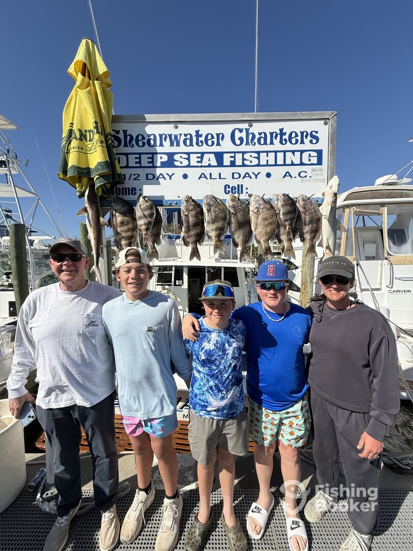 Biloxi Report Photo 0