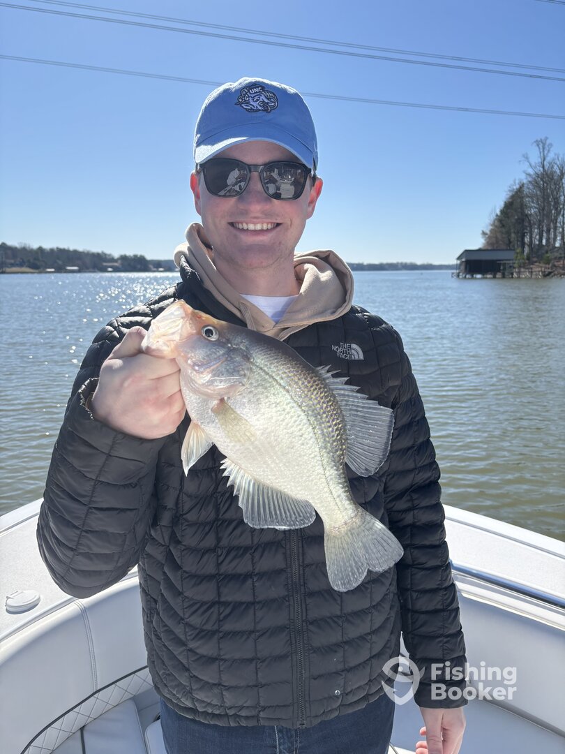 Tega Cay Report Photo 0