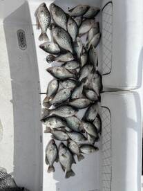 Tega Cay Report Photo 1