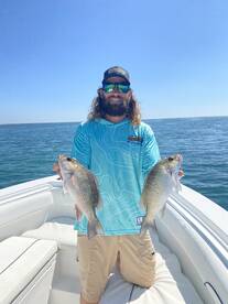 Mackrel and mangroves from the gulf of a