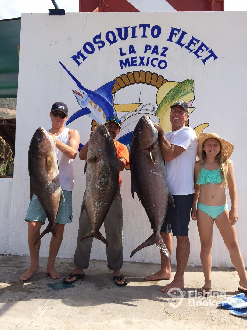 La Paz Report Photo 0