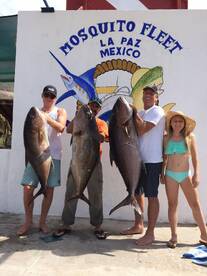 Amberjack action