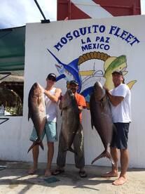 La Paz Report Photo 2