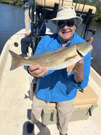 Punta Gorda Report Photo 2