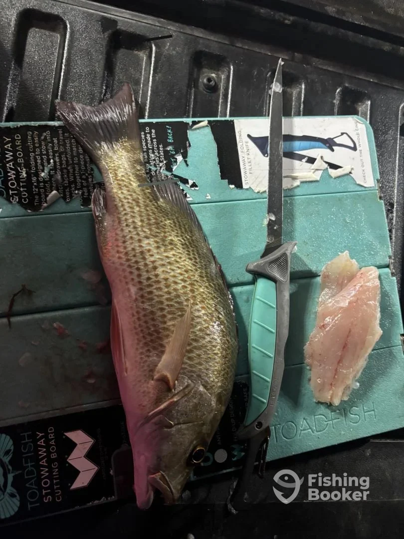 Key Largo Report Photo 0