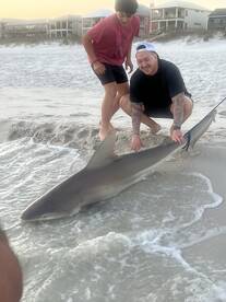Navarre Report Photo 1