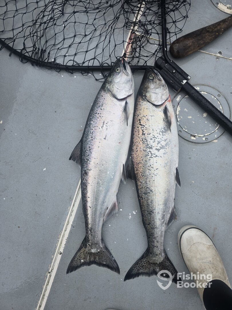 Sooke Report Photo 0