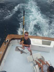 Wanchese Report Photo 1