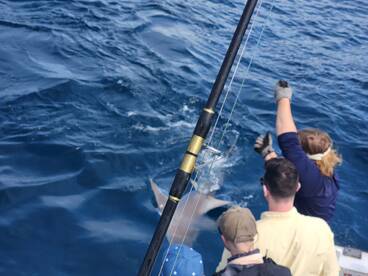 Great batchelor trip!