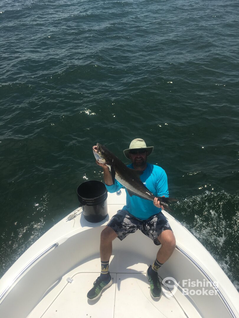 Virginia Beach Report Photo 0