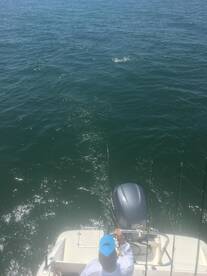 Virginia Beach Report Photo 1