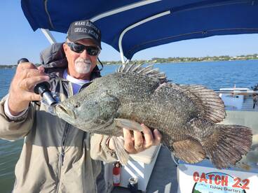 Tripletail Time