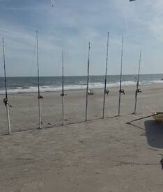 Folly Beach Report Photo 2