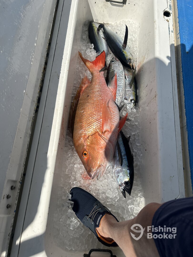 Islamorada Report Photo 0